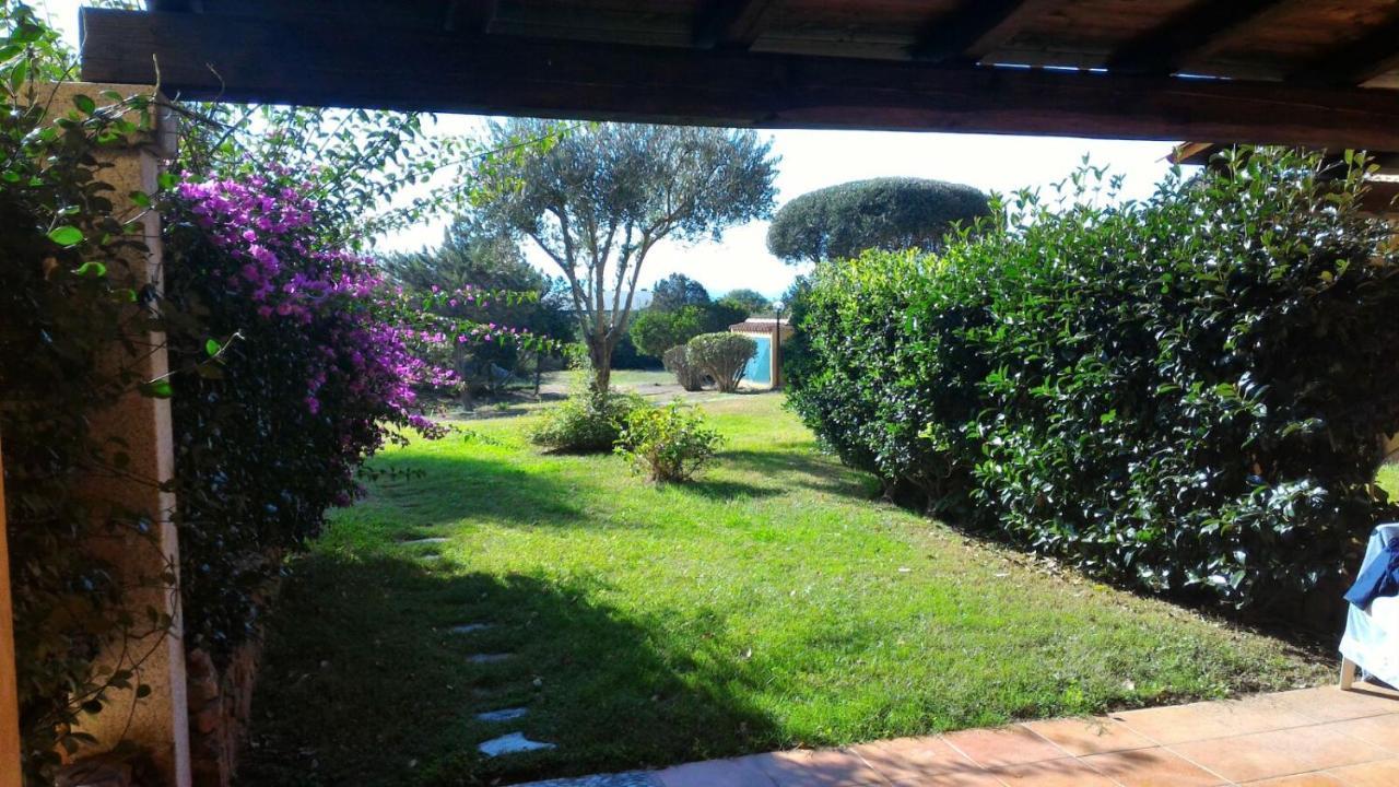 Studio Garden View